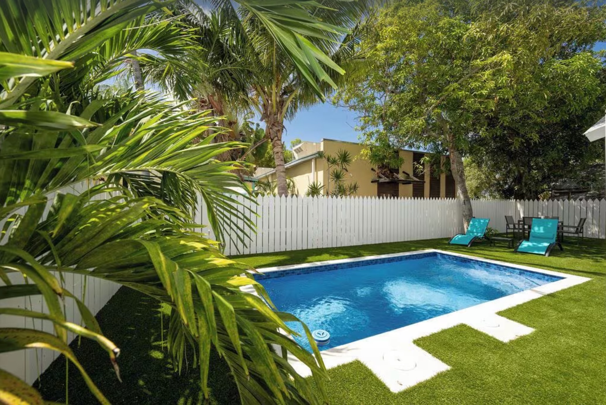 Backyard Pool with Tropical Landscaping